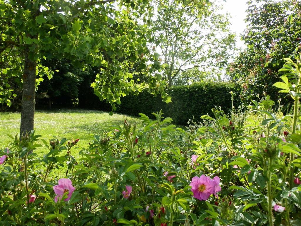 La Roulotte Du Domaine De Meigné 部屋 写真